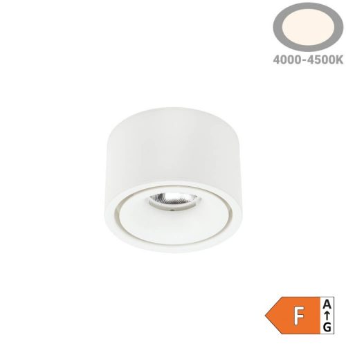 Fix LED Spotlámpa 10W, 800lm, Fehér, Természetes Fényű