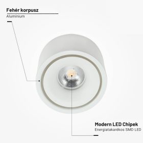 Fix LED Spotlámpa 10W, 800lm, Fehér, Természetes Fényű