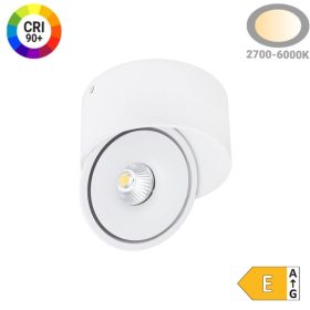   Prémium Falon Kívüli Billenthető LED Spotlámpa, 20W, 2000lm, 24°, CCT, Fehér – Élethű Színek (CRI90) és Irányítható Fény