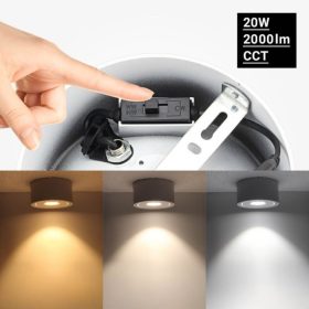   Prémium Falon Kívüli Billenthető LED Spotlámpa, 20W, 2000lm, 24°, CCT, Fehér – Élethű Színek (CRI90) és Irányítható Fény