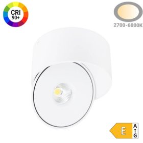 Prémium Falon Kívüli Billenthető LED Spotlámpa, 20W, 2000lm, 24°, CCT, Fehér – Élethű Színek (CRI90) és Irányítható Fény