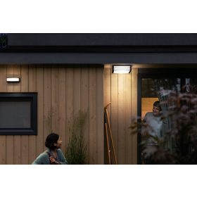 Philips Moonshine kültéri mennyezeti lámpa 2xE27