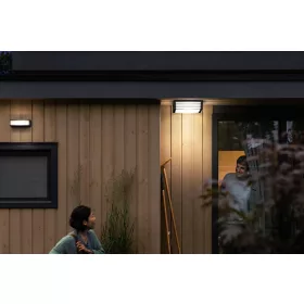 Philips Moonshine kültéri mennyezeti lámpa 2xE27