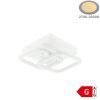 13W LED dizájn mennyezeti lámpa meleg fehér