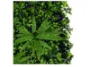 Nortene Vertical Jungle műanyag zöldfal a dzsungel növényeivel (100×100 cm)