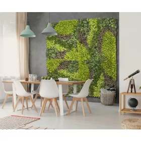   Nortene Vertical Costa műanyag zöldfal vegyes növényekkel (100x100 cm)