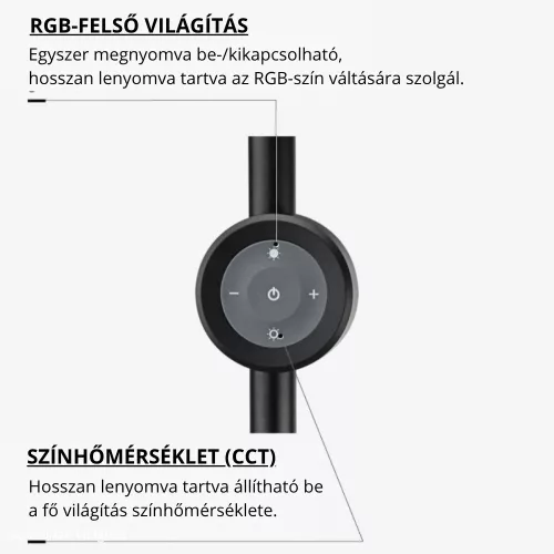 2 méter magas modern fekete RGB+CCT LED állólámpa mágneses távirányítóval