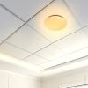 CCT LED Mennyezeti Lámpa 12W 880lm – Változtatható Színhőmérsékletű, Kerek, Matt Bura Ø26cm
