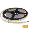 Prémium kültéri LED szalag 12V 196 LED/m 20W/m 2100lm/m hideg fehér