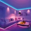Beltéri RGB LED szalag 24V 60 LED/m 14,4W/m 5050