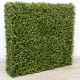 Természetes Hatású Térelválasztó Mű Sövényfal 1x1m - Buxus