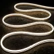Neon Flex LED szalag 220V 6W/m Természetes fehér 4000K 350lm/m 8x16mm - Braytron