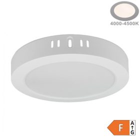   Felületre szerelhető LED panel Kör 24W 2640lm 4000K Ø295mm IP20-Eco Light