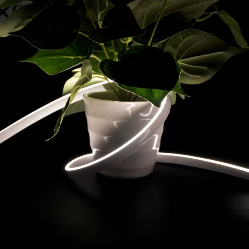 Vízálló (IP67), homogén, természetes fehér fényű COB Neon Flex LED szalag
