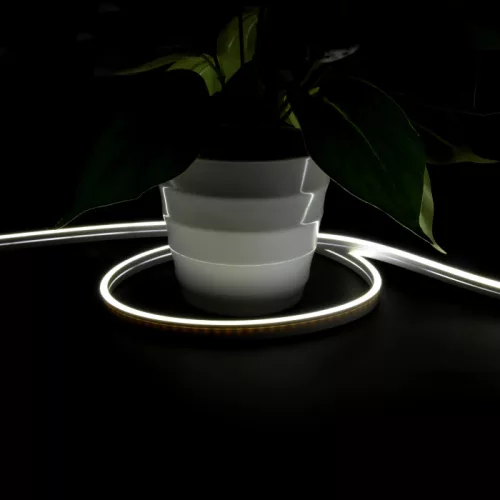 Vízálló (IP67), homogén, hideg fehér fényű COB Neon Flex LED szalag
