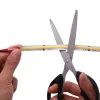 Prémium COB Digital CCT LED szalag, ami pontmentes, dinamikusan mozgó és szabályozható színhőmérsékletű fehér fényt ad.
