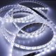 Hideg fehér LED szalag 12V 60LED/m 14,4W/m SMD5050 800lm/m IP20 Eco Light