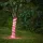 EGLO FLATNEONLED LED szalag Rózsaszín IP44 24V 5 méter