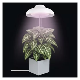 EMOS 39 LED-es teljes spektrumú burás növénynevelő lámpa időzítővel