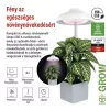 EMOS 39 LED-es teljes spektrumú burás növénynevelő lámpa időzítővel