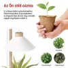 EMOS 21 LED-es elegáns dizájn növénynevelő lámpa beépített időzítővel