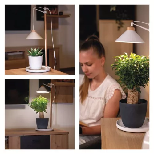EMOS 21 LED-es elegáns dizájn növénynevelő lámpa beépített időzítővel