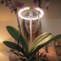 Növénynevelő asztali lámpa